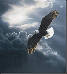 aguia-voando
